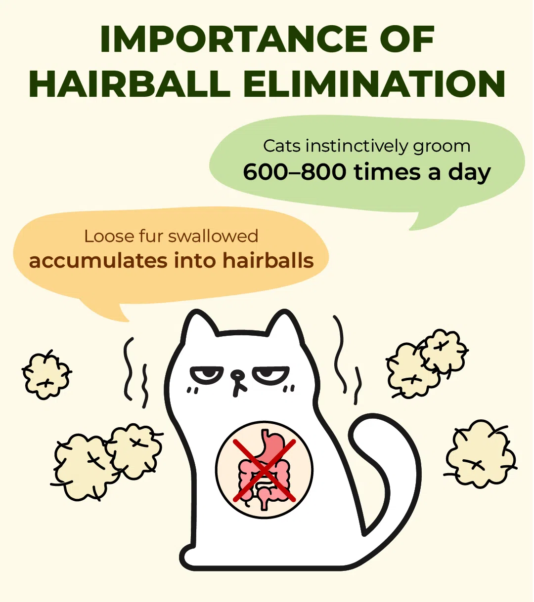 πππππππππ β πππ πππππ πππππ πππ πππππππ